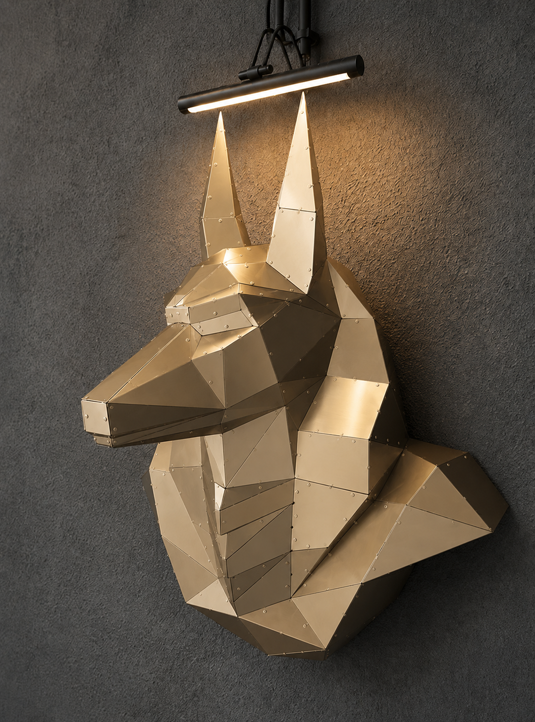 ANUBİS HEAD